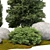 Tall Outdoor Plant: 7m Height 3D model small image 3