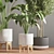  Modern Indoor Plant Stand 3D model small image 6