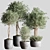 Elegant Indoor Plant Set12 3D model small image 1