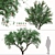 Pomegranate Tree Duo: Perfect Ornamental Fruit Trees! 3D model small image 1