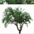 Pomegranate Tree Duo: Perfect Ornamental Fruit Trees! 3D model small image 4