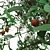 Pomegranate Tree Duo: Perfect Ornamental Fruit Trees! 3D model small image 6