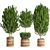 Green Haven: Lush Indoor Plant Set 3D model small image 1