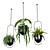 Botanical Bliss: Hanging Indoor Plant Set 3D model small image 2