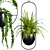 Botanical Bliss: Hanging Indoor Plant Set 3D model small image 3