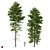 Norway Spruce Set - Realistic 3D Tree Models 3D model small image 1