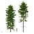 Norway Spruce Trees - V-Ray 3D model small image 1