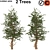 Rocky Mountain Limber Pine 3D model small image 1