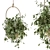 Botanical Beauties: Hanging Plant Set 3D model small image 1