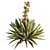 Desert Oasis Yucca Set 3D model small image 3