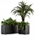 Tropical Oasis: Outdoor Plant Set 3D model small image 1