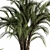 Tropical Oasis: Outdoor Plant Set 3D model small image 4