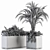 Tropical Oasis: Outdoor Plant Set 3D model small image 5