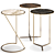 Elegant MAJORDOME Coffee Table 3D model small image 1