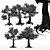 Variety of Kingsville Wood Trees 3D model small image 4