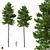 Title: Norway Spruce 3D Tree Set 3D model small image 1
