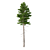 Title: Norway Spruce 3D Tree Set 3D model small image 4