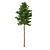Title: Norway Spruce 3D Tree Set 3D model small image 5
