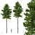 Norway Spruce 3D Tree Set 3D model small image 1