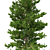 Norway Spruce 3D Tree Set 3D model small image 2