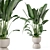 Rustic Concrete Pot Set with Indoor Plants 3D model small image 2