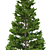 Norway Spruce Set - Realistic 3D Tree Models 3D model small image 3