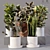 Collaction Indoor Plants 04: High-Quality, Detailed & Versatile 3D model small image 1
