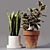 Collaction Indoor Plants 04: High-Quality, Detailed & Versatile 3D model small image 2