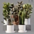 Collaction Indoor Plants 04: High-Quality, Detailed & Versatile 3D model small image 6