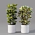 Collaction Indoor Plants 04: High-Quality, Detailed & Versatile 3D model small image 9