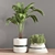 11-Piece Indoor Plant Set 3D model small image 5