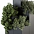 Lush Greenery Collection 3D model small image 4