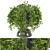 Botanical Bliss: Indoor Plants Set 3D model small image 1