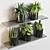 124-Plant Pot Collection: Indoor/Outdoor Concrete Vase with Cactus, Fern, and Ficus Lyrata 3D model small image 2