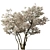 Blooming Serviceberry Trees (2 Trees) 3D model small image 2