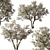 Blooming Serviceberry Trees (2 Trees) 3D model small image 4