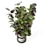 Rusty Concrete Pot Indoor Plants 3D model small image 4