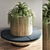 Elegant Seat with Indoor Plants 3D model small image 2