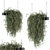 Lush & Lovely: Indoor Hanging Plant Set 3D model small image 1