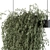 Lush & Lovely: Indoor Hanging Plant Set 3D model small image 2