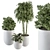 Green Oasis Indoor Plant Set 3D model small image 1