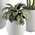 Green Oasis Indoor Plant Set 3D model small image 2