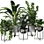 Contemporary Indoor Plant Collection 3D model small image 1