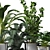 Contemporary Indoor Plant Collection 3D model small image 3