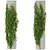 Lush Greenery Collection 3D model small image 2