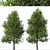 Pair of Lovely Callery Pear Trees 3D model small image 3