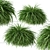 Exquisite Hakonechloa Trio: Japanese Forest Grass Set 3D model small image 2