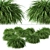 Exquisite Hakonechloa Trio: Japanese Forest Grass Set 3D model small image 3