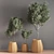 Green Haven: Indoor Plant Set 3D model small image 2