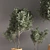 Green Haven: Indoor Plant Set 3D model small image 5